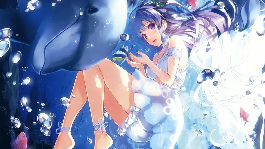 动漫少女acg插画同人海底海豚清新唯美壁纸壁纸