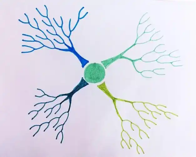 思维导图3更具表现力的手绘思维导图