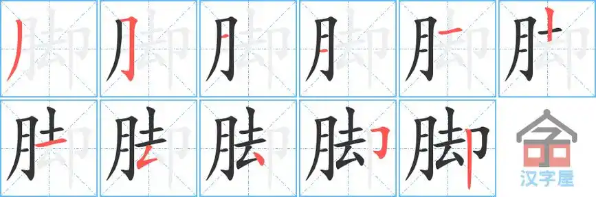 脚字的笔顺笔画顺序