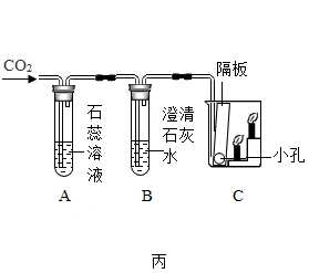 如图是某同学正在绘制的实验室制取二氧化碳的装置图,请回答问题