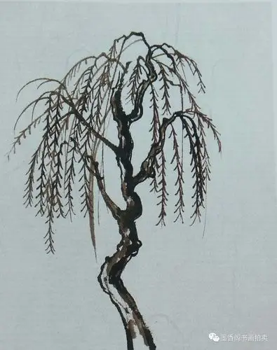 国画入门教学树的画法