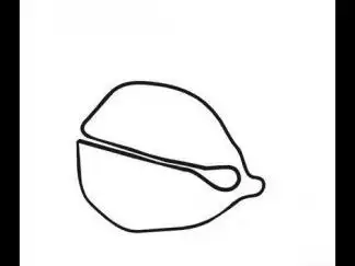 木鱼图片_简笔画图片_少儿图库_儿童资源网