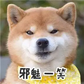 柴犬人头像搞笑 坏笑
