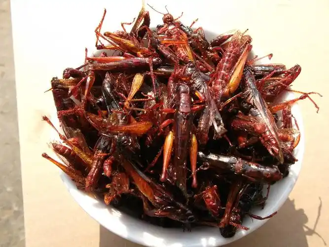 香辣蚂蚱油炸蚂蚱野生蝗虫土蚂蚱沂蒙特产昆虫开袋即食现炸现发货_爱