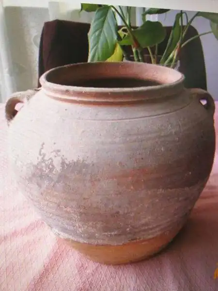 展开全部 可能是西汉时期的双耳红陶罐,如果是真品很值钱.