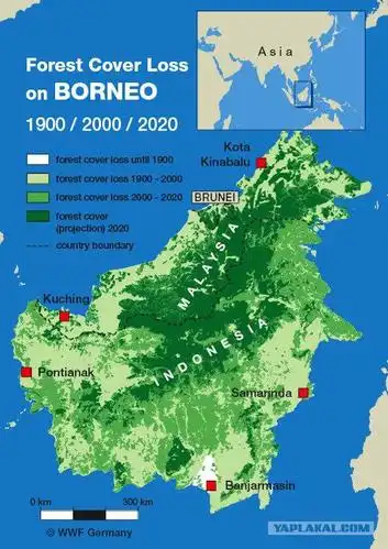 大马约婆罗洲通过俄罗斯的眼睛40的事实
