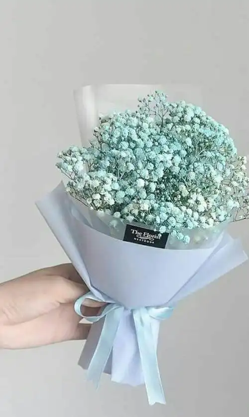 你最爱哪种颜色的满天星 ins:miss__ccc