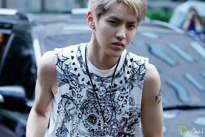 krisight_吴亦凡画报楼的照片 - 微相册