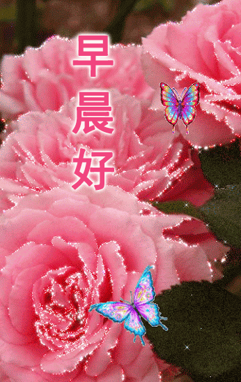 超级漂亮早上好问候祝福语动态图片 冬天清晨温馨早安问候动画表情