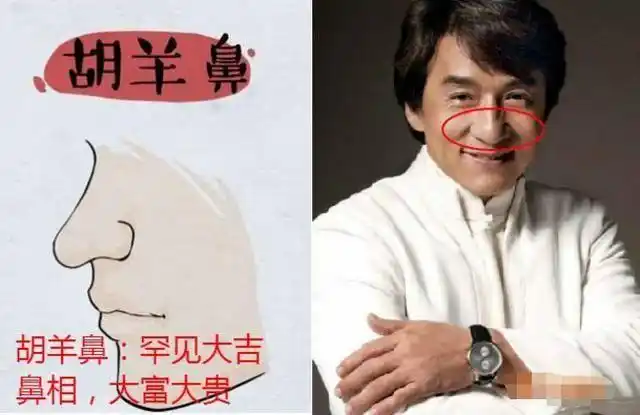 狮子鼻:山根低但准头大,富贵之相狮子鼻的最大特征是"大",不只鼻梁宽