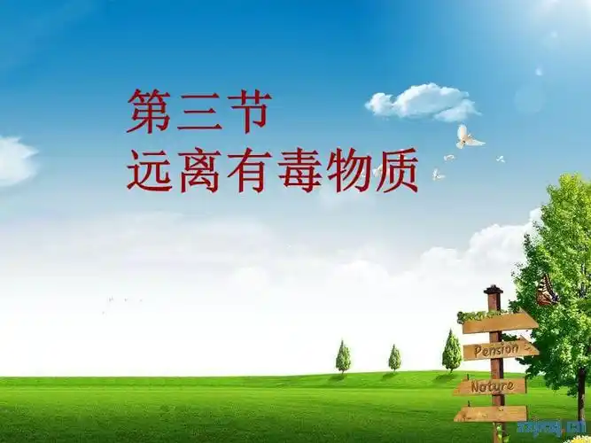 化学远离有毒物质ppt