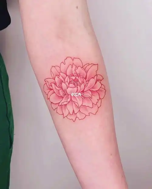 红色牡丹花纹身图案,女生小臂纹身图案#纹身  #小清新纹身  #纹身也