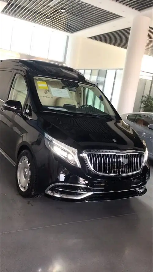 迈巴赫的保姆车,打开车门太奢华了