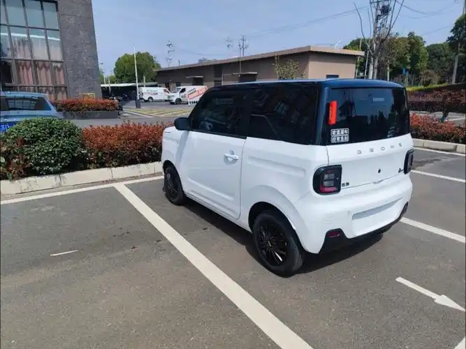 熊猫mini白色耐力熊提车日记