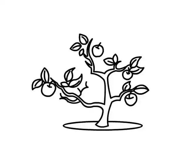 果树怎么画