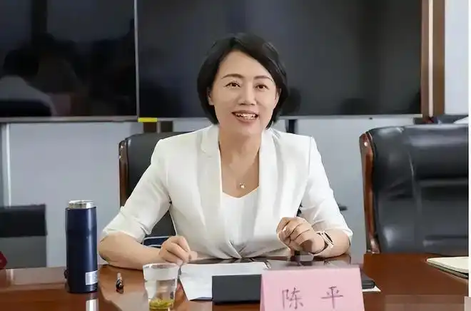 副省长陈平"火了",有颜有实力气质还不俗,学历履历让人钦佩_网易订阅