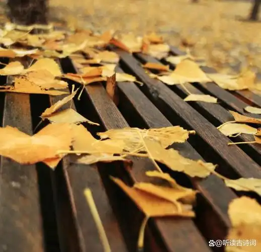 所以,初秋的诗篇,先从落叶写起,初秋的思绪,也因落叶而生.