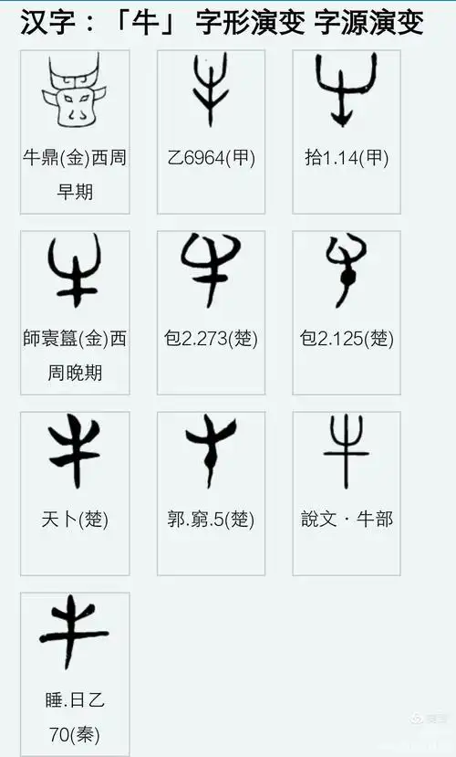 牛  部首字