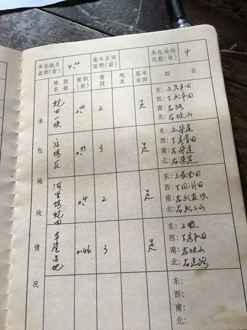 人员,付振华,张吉序四人的证明下许诺将所属责任田租借给麻阳县政府