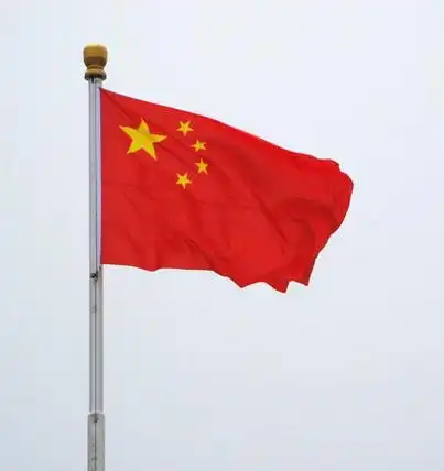 向着国旗敬礼,敬个礼