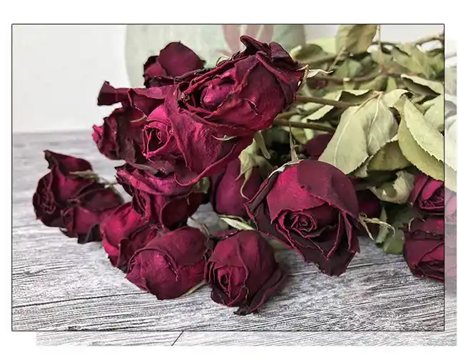 玫瑰干花 风干玫瑰花 头带枝森林系风干玫瑰花束插花厂家批发