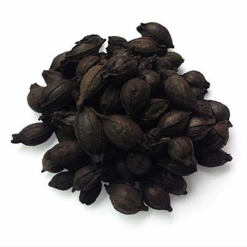 中药材 栀子炭 炒栀子 焦栀子 250克 焦山栀 炒山栀子 山枝