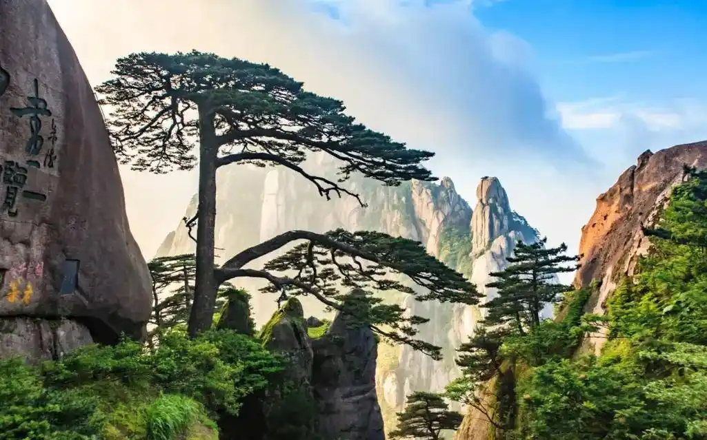 91【一品黄山●天下无山】 99世界名山黄山-屯溪老街-徽州 - 抖音