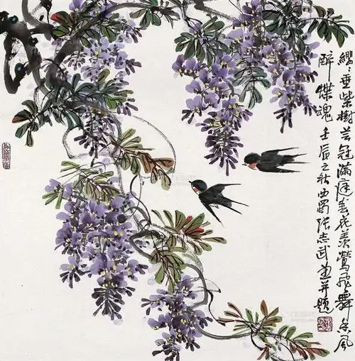 依依的思念一一紫藤花