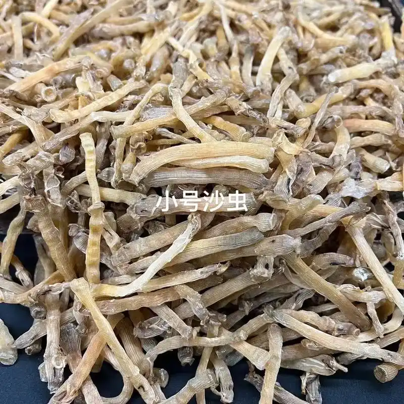 北海小号沙虫干  精品货17 - 抖音