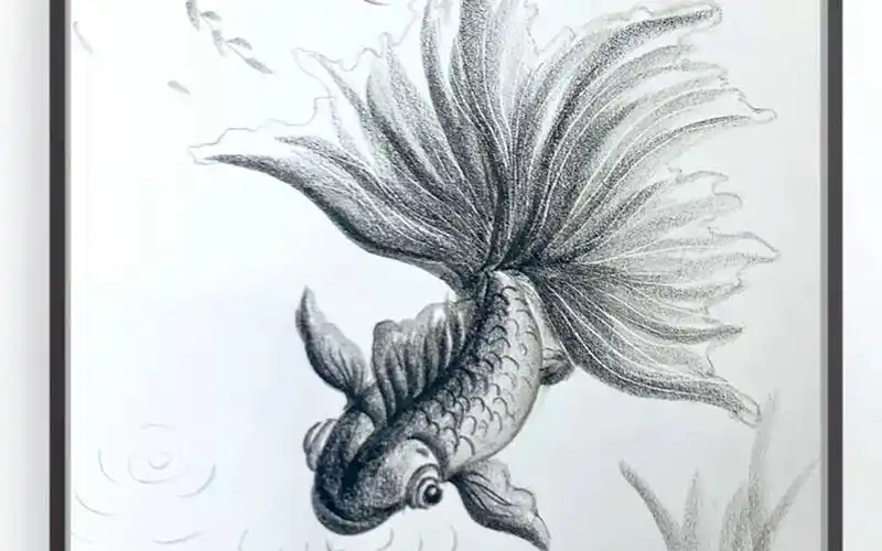 金鱼——教你简单画金鱼!