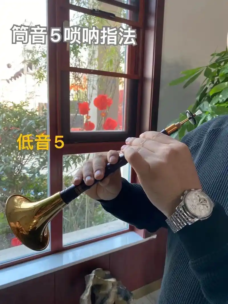 新手零基础搞不清楚指法的,建议点赞收藏,反复观看#唢呐教学  - 抖音