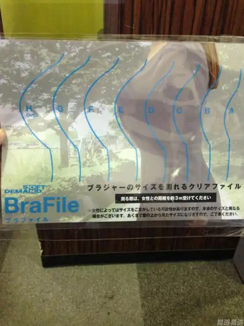 测胸文件夹有了它就可以光明正大的耍流氓了