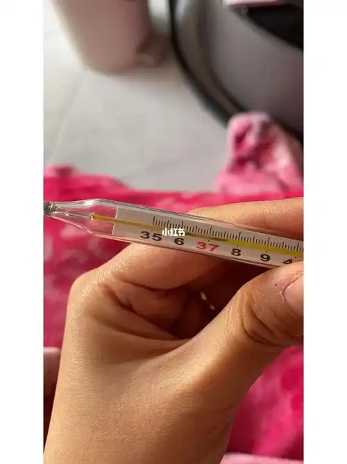 12周小孕妇发烧