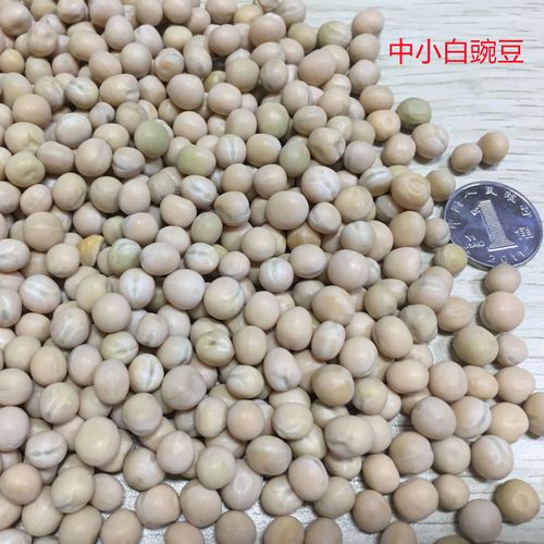 豌豆干豌豆白豌豆青豌豆青皮豌豆茶豆菜豆芽菜豆鸽子豆饲料豆-5斤