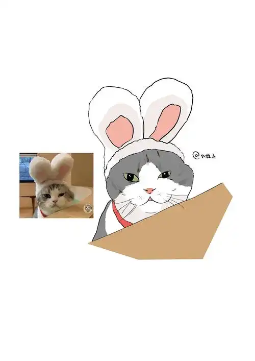 猫咪q版之头总篇