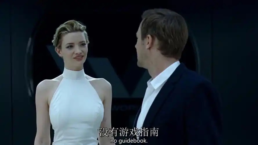 西部世界无删减