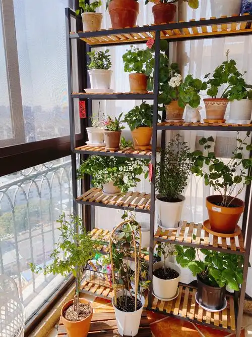 封闭阳台养花