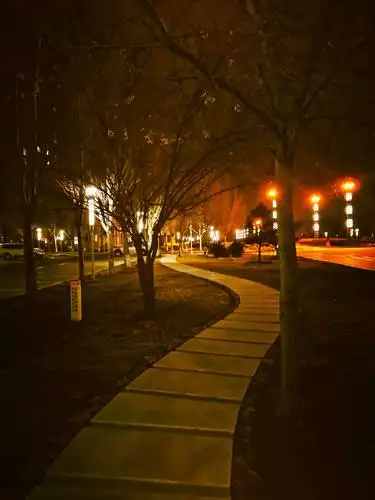 油城美景,璀璨夜晚,拍摄于2019.2.25.(农历正月二十一)