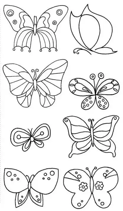 动物蝴蝶简笔画大图 简笔画图片大全-蒲城教育文学网