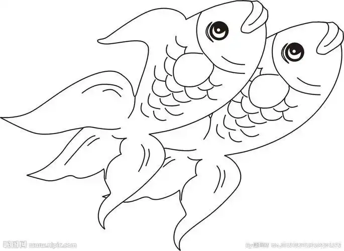 金鱼简笔画图片 金鱼简笔画图片彩色