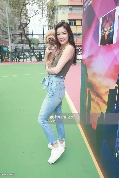 黎明的妻子乐基儿个人资料