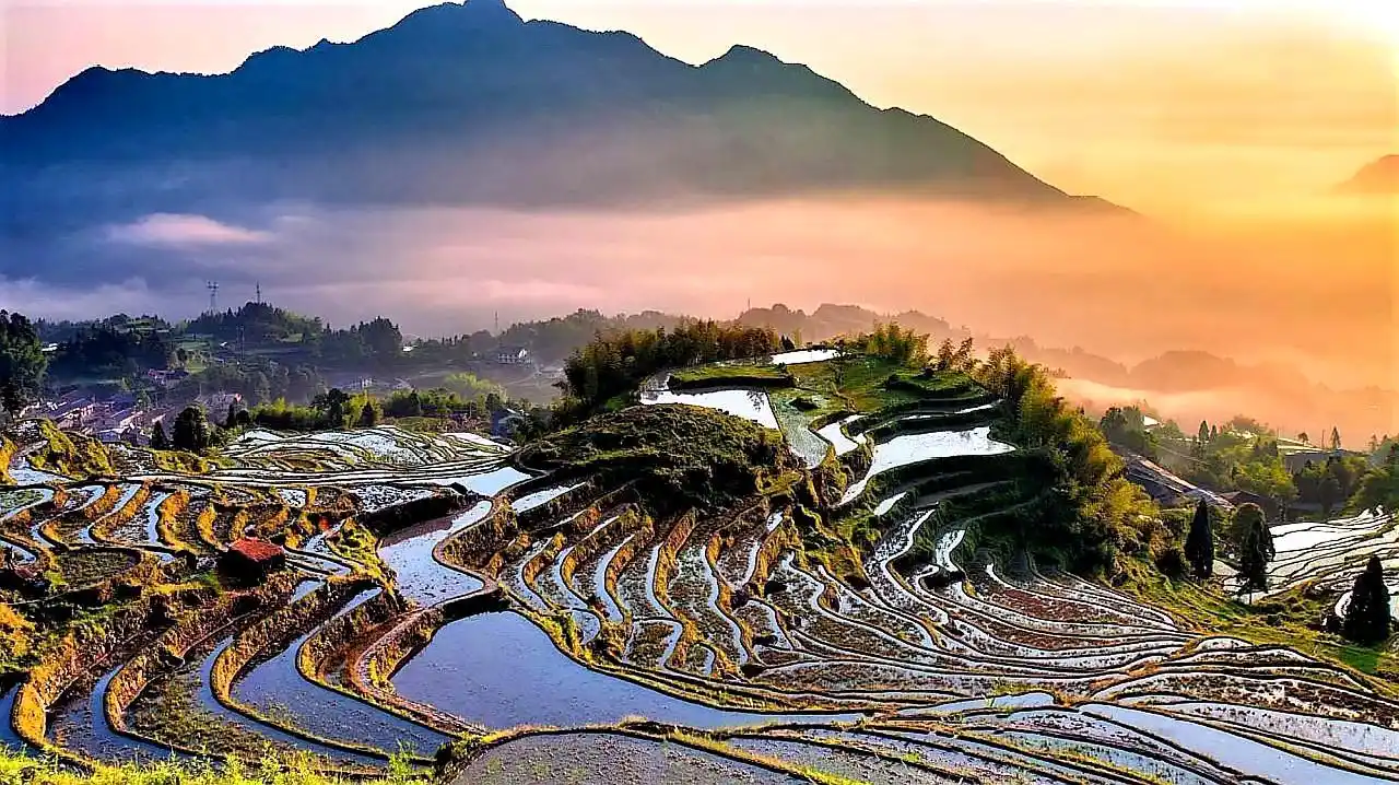 丽水云和梯田美景欣赏