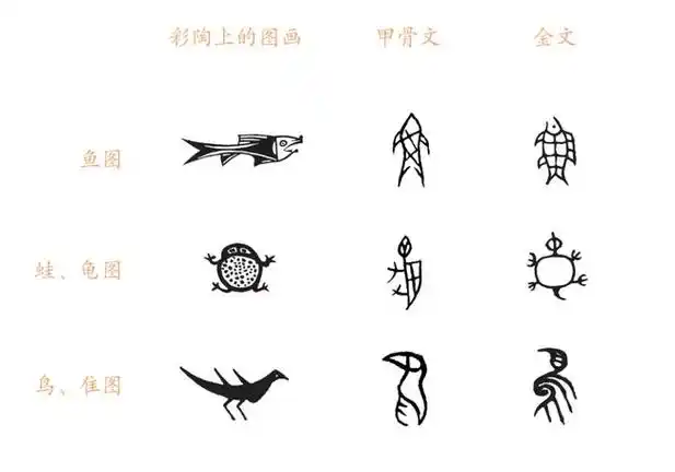 甲骨文和金文时期,汉字还没有定型,一个字经常有不同的写法,比如"龟