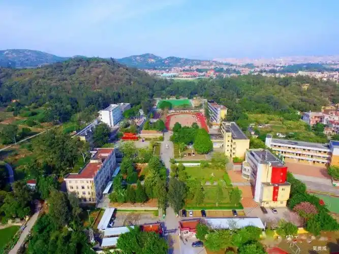 县教育局党组书记,局长陈加龙莅临文笔中学指导工作_教学_陈建峰_陈小