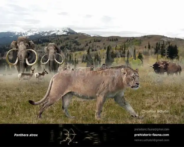 古兽图鉴美洲拟狮