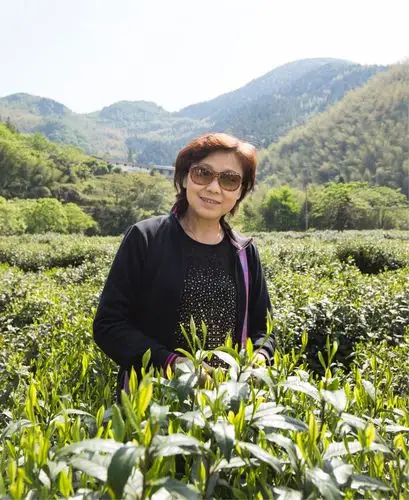 踏青～～黄山茶林场