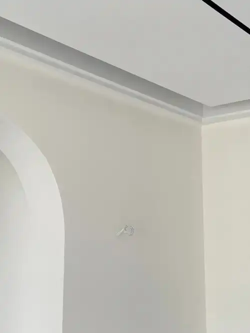 阴天 无滤镜#乳胶漆  #立邦珍珠白  #我的装修记录 #立邦乳胶漆