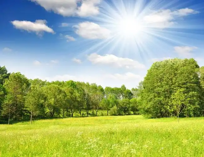 阳光下春天自然风景