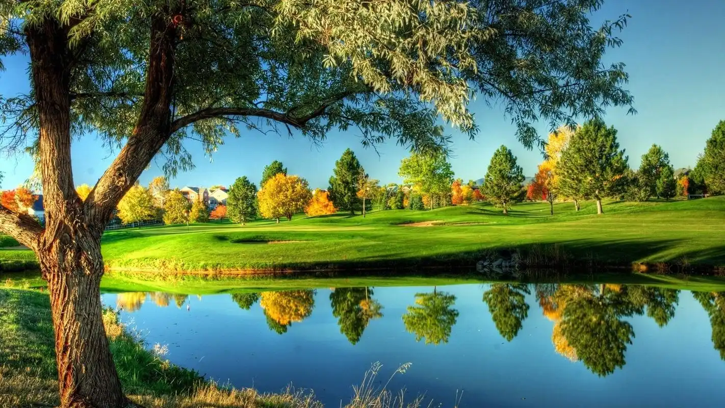 唯美清新绿色护眼高清桌面壁纸_风景壁纸_壁纸下载_美桌网