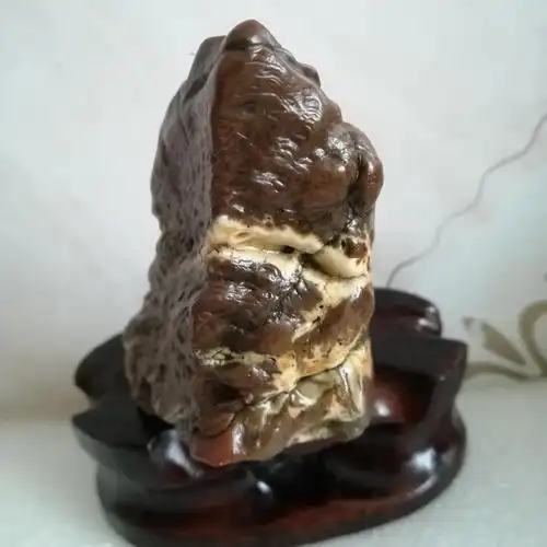 肉质虎皮纹戈壁石(双十一特价)